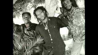 The Mighty Diamonds - 4000 Years