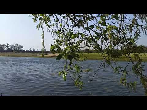Gomti River side | Maa Chandrika Devi Mandir | natural view | Peace | Relax | Feel yourself