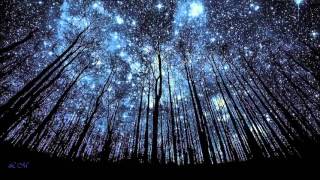 Carry Me - Olivia Millerschin ♥