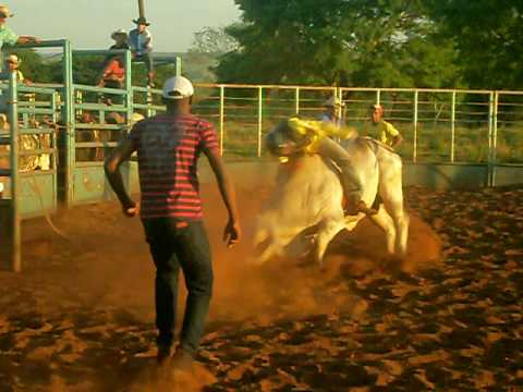 Cia de Rodeio OS FEDERAIS ( Boi  Paraguai )