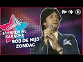 Rob de Nijs - Zondag // Sterren NL Karaoke