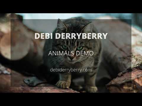 Debi Derryberry Animals Demo
