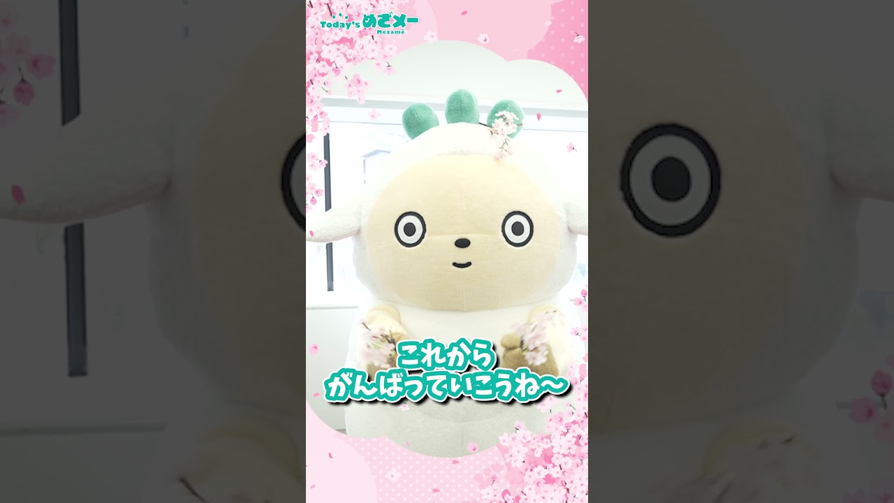 Today’sめざメー 桜の花編　 #ゆるキャラ  #kawaii #羊 #セブンイレブン#めざメー #花見