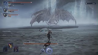 ELDEN RING NIGHTREIGN - Everdark Fissure in the Fog