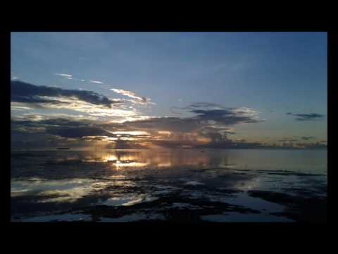 Rosie - Tarvin Toune ft. Knotts Blunt [Audio]