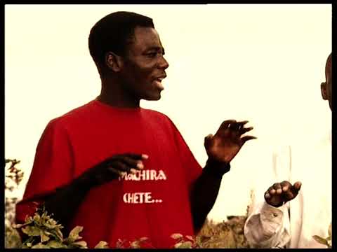 Masimba Ndeenyu - CHARLES CHARAMBA