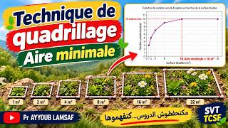 🌿 Technique de quadrillage : Comment déterminer l’aire minimale ? | SVT TCSF
