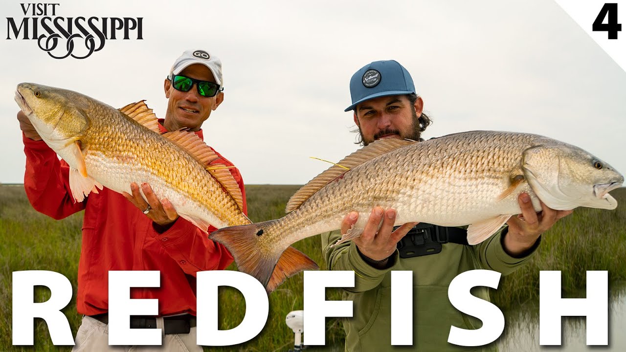 Tagging BIG Redfish in Remote Backcountry Marshes (CATCH CLEAN COOK) Field Trips Mississippi