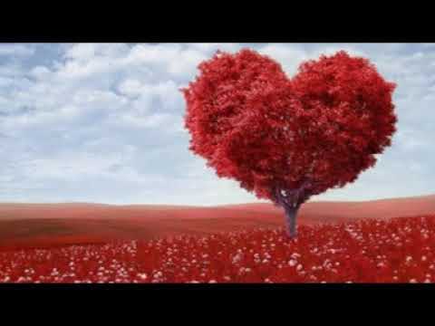 【1647】 La Musica del Corazon