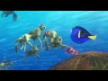 Finding Dory Turtles
