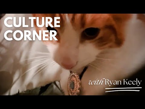 Ryan Keely's Culture Corner: Dale Jr - Ready for His Closeup! Kitty steals the show as per usual