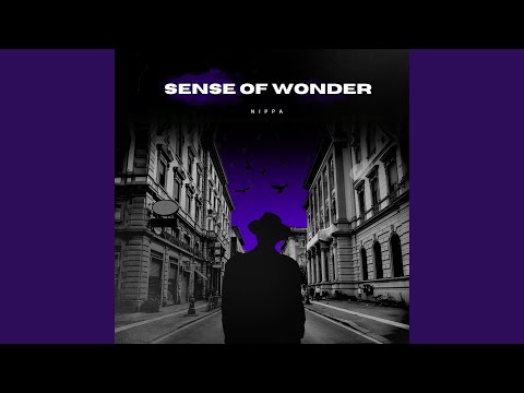 Sense of Wonder (Slowed + Reverb)