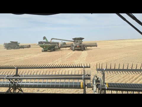 That was stupid! 😂 🤷‍♂️ 🤦‍♂️