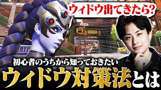 【解説付き】敵にウィドウが倒せない時、Nicoはどうやって戦うの？【オーバーウォッチ/OW】