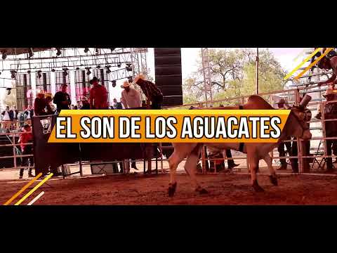BANDA LA JARIPERA - EL SON DE LOS AGUACATES [ Video Oficial ] Morena Music