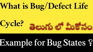 What is Bug/Defect Life Cycle? | Bug States |Manual Testing Tutorial F