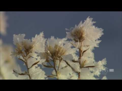 Wonderful Chill Out Music -- Yiruma - River Flows In You [HD].mp4