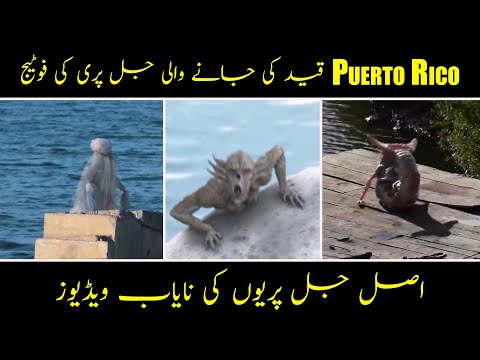 Real Mermaid Caught On Camera In Hindi Urdu - Jal Pari ki Video - World of Fear