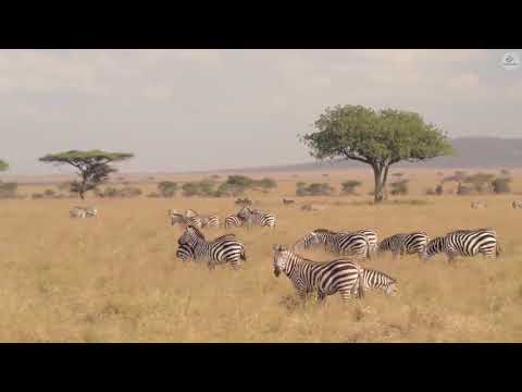 Yiruma Greatest Hits Full Album 2021 -  Best Songs of Yiruma  - Yiruma Piano Playlist 2021