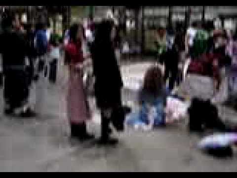 Animania Sydney 2010: Walking through