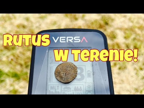 RUTUS VERSA w terenie. Pole z potencjałem! Wykopki w UK #109 #rutusversa