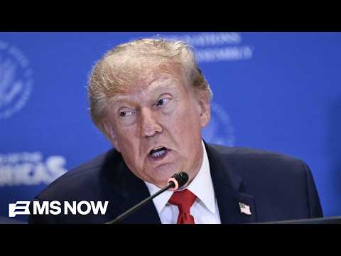 Trump 'loves Caesar Rome not Pope Rome': Dem strategist on lavish projects