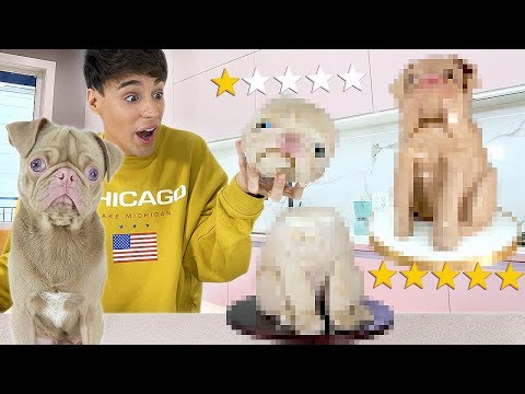 I ordered a REALISTIC cake of MY DOG from 1 vs. 5 STAR BAKERY