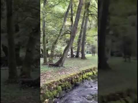 Vrelo Bosne.Ilidža.Sarajevo.Prirodni park.@SVETBIOLOGIJE