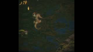 DKC4 - Aquatic level