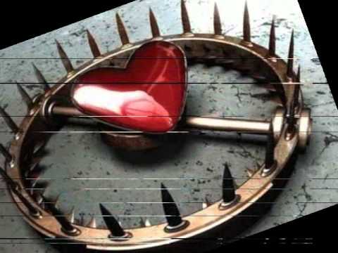 Armadilha video