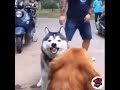 COMEDY WHATSAPP STATUS IN TAMIL