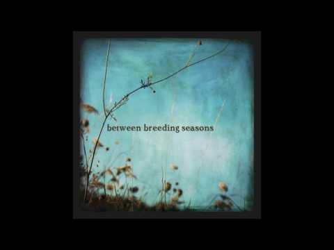 Emaline Delapaix - Between Breeding Seasons - Official Audio