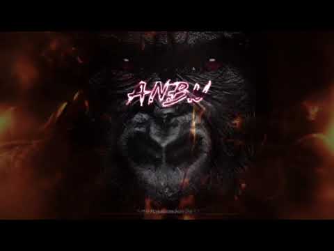 YPN Rell- A.N.B.U lyric video