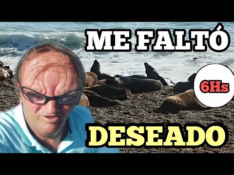 De Comodoro Rivadavia a Puerto Deseado #Comodoro #Deseado #patagonia #museos 