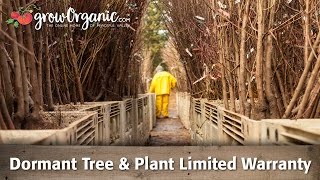 Bare Root Tree & Plant Limited Warranty