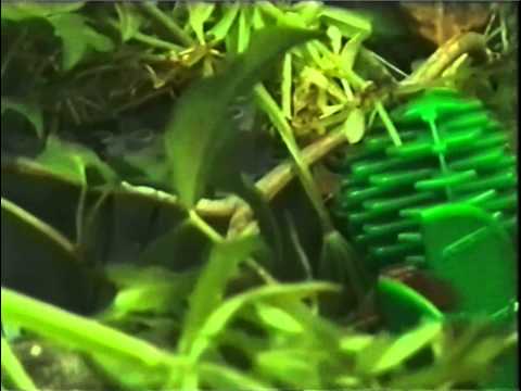 Jungle Joe - 2001 Lego Movie Maker Contest