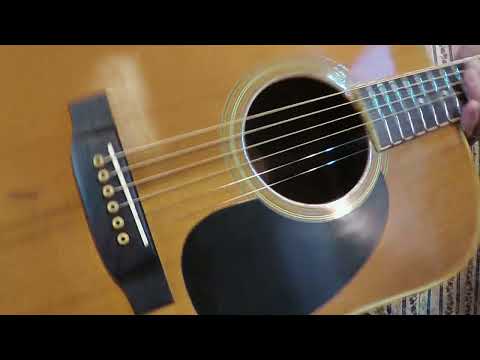 Takamine Elite TW60  Brazilian Rosewood '70 Natural+Hard Case image 26