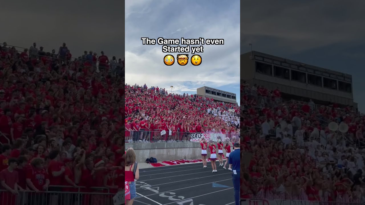 Imagine playing in front of this Crowd 🔥 #shorts