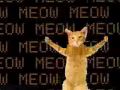  Go Kitty Go !