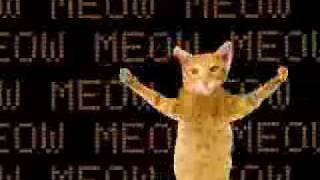 Cover art for Go Kitty Go !