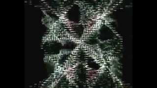 Shit And Shine - Practising To Be A Doctor