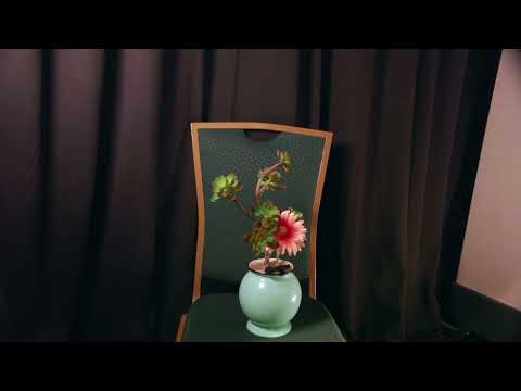 Play video