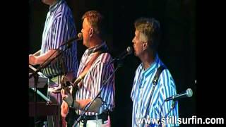 Still Surfin&#39; (Beach Boys Tribute Band) Promotional Video (Short Ver)
