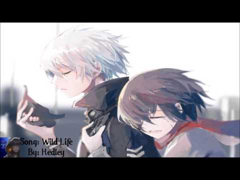 Wild Life Nightcore