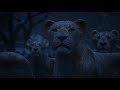 Lion King 2019 Circle Of Life Reprise Korean Subs Trans