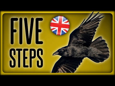 How to befriend CROWS in 5 easy steps! (tutorial parody)
