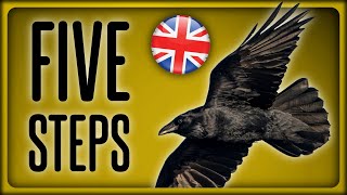 How to befriend CROWS in 5 easy steps! (tutorial parody)