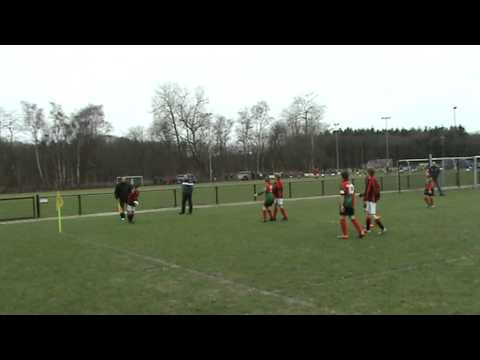 Wasmeer D4   Zuidvogels