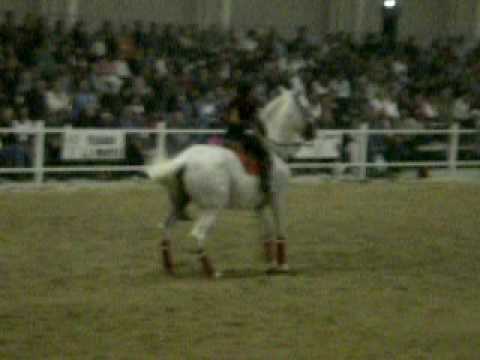 Feria (EQUIMUR) 21-03-2009