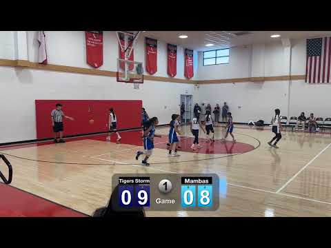 04.21.2024 Tigers Storm vs Lil Mambas WLA tournament